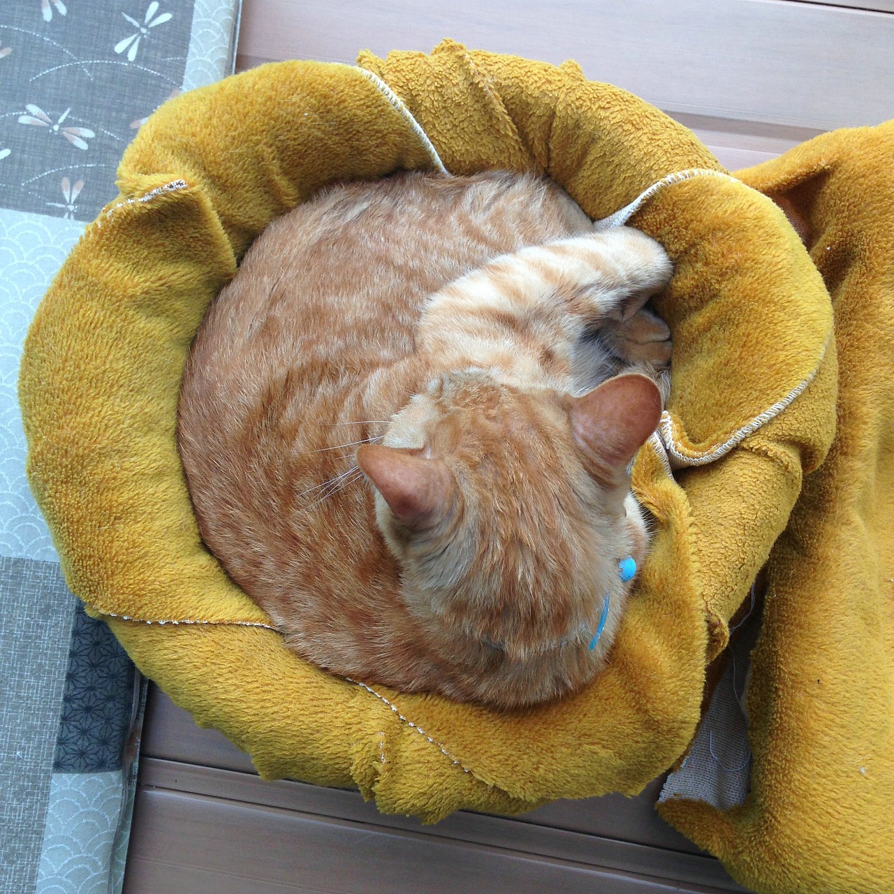 99円の植木鉢で猫ベッドを手作り