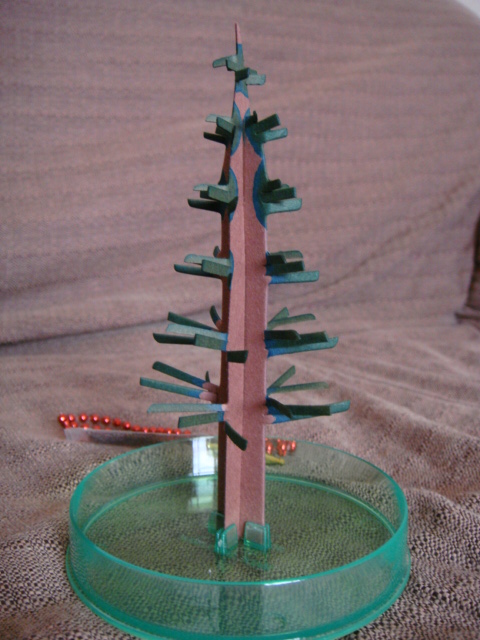 12時間でクリスマスツリーが急速成長！？～「マジッククリスマスツリー」