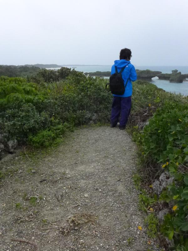 八重山諸島めぐり2013年1月