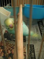 思ったよか大変だなあ・・・