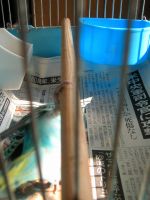 ああっ・・・無念！！