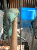 気を取り直してもう一度