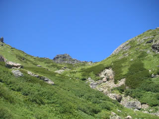 写真：山頂付近を見上げて