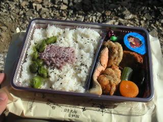 写真：３日目のお弁当