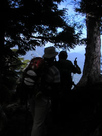 写真：少し手前で木々が途切れる