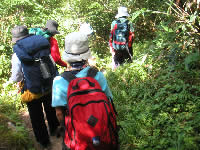 写真：木々に覆われた中腹あたりの道