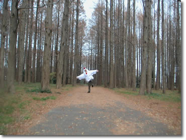 にわとりコッコちゃんの写真