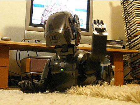 AIBO写真